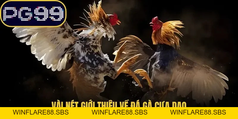 Đá Gà Cựa Dao PG99 Luật Chơi Cùng Kinh Nghiệm Theo Dõi