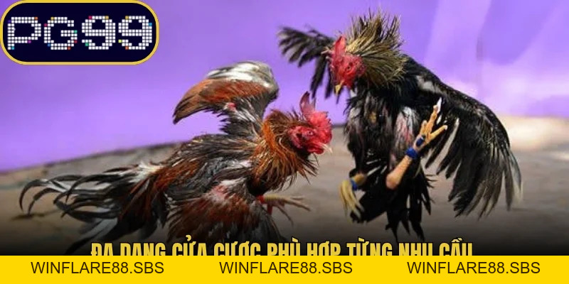 Đá Gà Pg99 Mở Ra Thế Giới Chiến Kê Tranh Tài Khốc Liệt