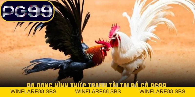 Đá Gà Pg99 Mở Ra Thế Giới Chiến Kê Tranh Tài Khốc Liệt